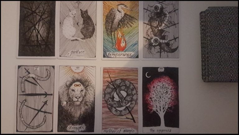 Interview With My Deck: The Wild Unknown