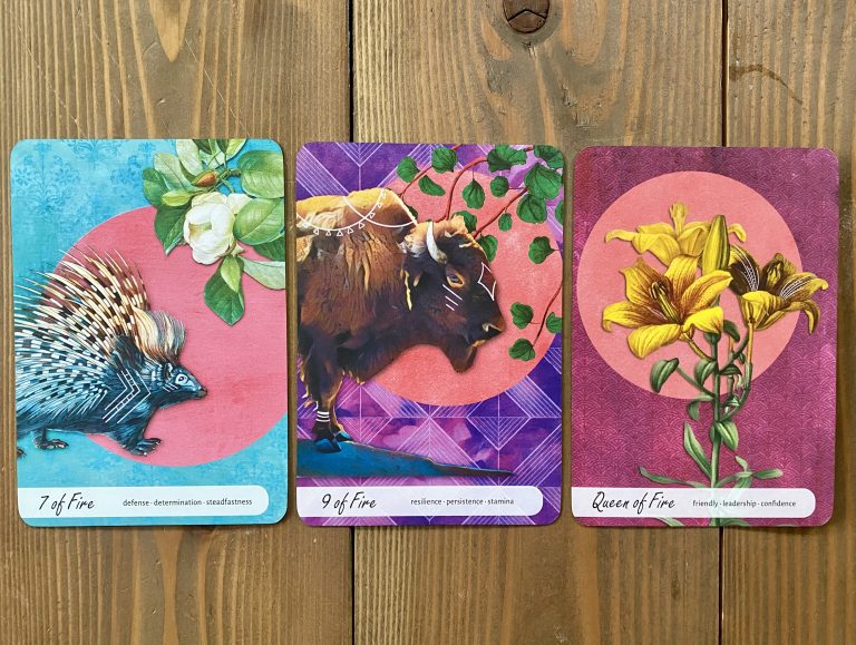 Deck Review:  Wise Earth Medicine Tarot